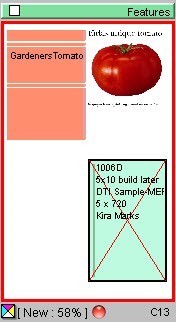 A close-up of a tomato
Description automatically generated